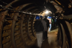 DSC_0382