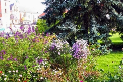 wawel
