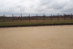 20190318_104324
