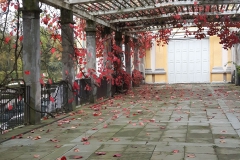 20161011_170343