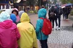 21558995_1574936832567627_7595117034083617046_n