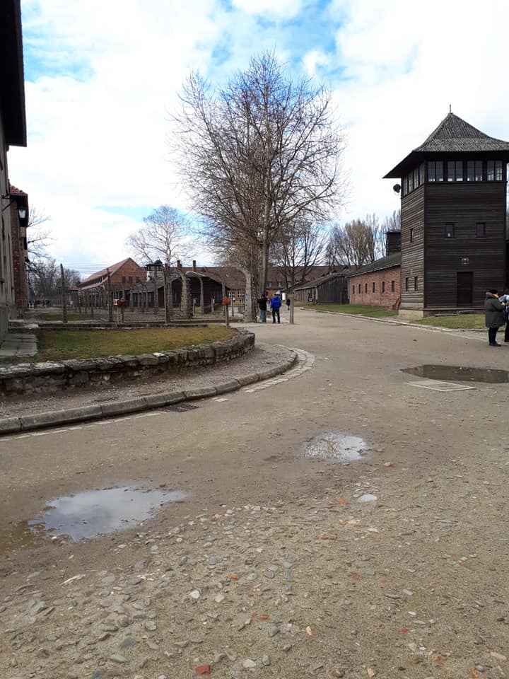 Auschwitz Memorial / Muzeum Auschwitz i Muzeum Auschwitz Birkenau